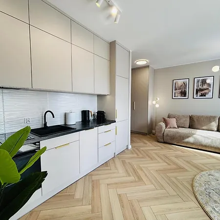 Rycerska Апартаменты Быдгощ